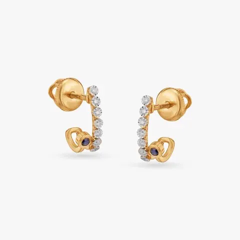 Earrings RJ-E-001